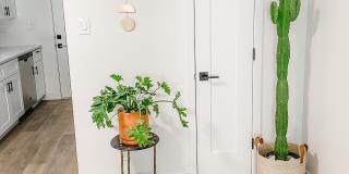 Century Apartments Gallery 4