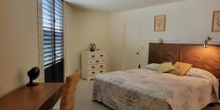 2405 Kalanianaole Street - 1 Gallery 15