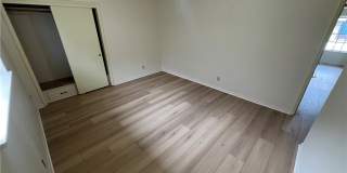 4817 Lavaca Drive Gallery 5
