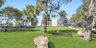 The Avantus Apartments Gallery 21