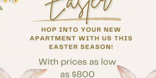 The Park at Clear Lake Gallery 40