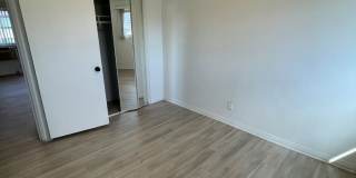 ONE11 COLLECTION - ROYAL OAK Gallery 59