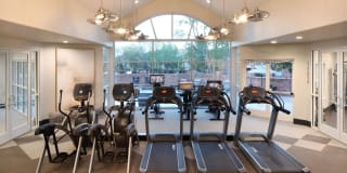 Carriage Place Gallery 13