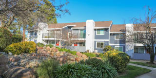 Lake Pointe Apartments Gallery 48