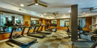 Elevation San Tan Gallery 1