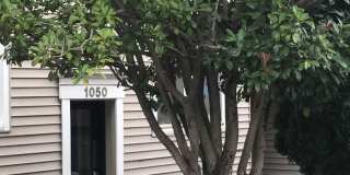 Woodland Residential Gallery 11