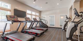 Regent's Park Gallery 27