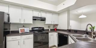 Lyme Stone Ranch Gallery 25