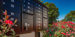 The Oliver in Alexandria Gallery 13