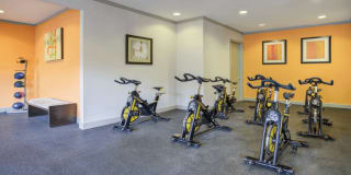 The Voss Apartments Gallery 20