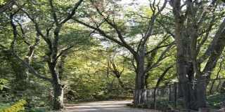 Towpath Village Gallery 27