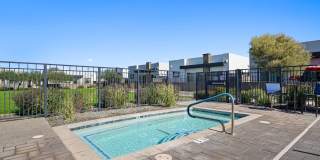 Olive Queen Creek Gallery 24