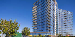 The Clara Gallery 13