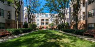 Strathmore Court At White Flint Gallery 18