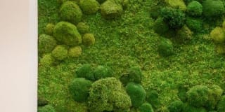 1410 Columbia Gallery 5