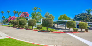 Las Ventanas Gallery 27