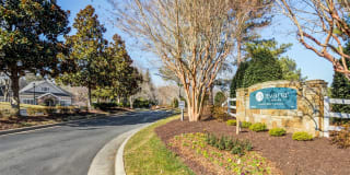 Avana Landing Gallery 28