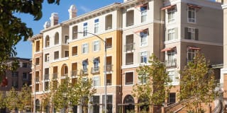 The Verdant The Verdant Gallery 20