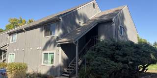 Fresh & Updated 2 Bedroom Condo in Fort Collins Gallery 1