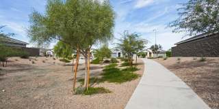 Solana Place at Carlton Commons Gallery 24