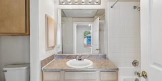 Woodland Park Gallery 11