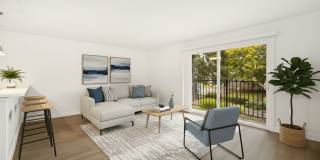 Driftwood Gallery 20