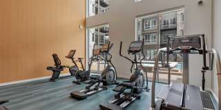 Legacy at Fitz Gallery 22