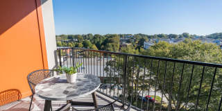 Anthem on Ashley Gallery 15