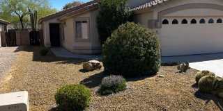 12416 N Floating Feather Lane Gallery 1