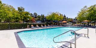 Avana Star Lake Gallery 76