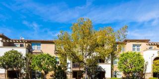 291 Riverdale Ct Apt 106 291 Riverdale Ct Apt 106 Gallery 1