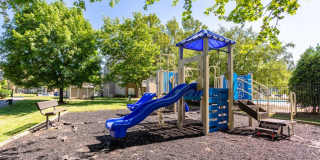 Steeplechase Apartments Gallery 8