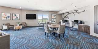 Terra at University North Park Gallery 38