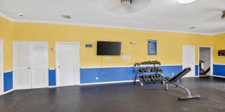 9810 Pineapple Tree Drive Gallery 48
