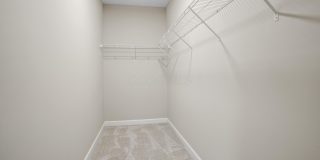 5151 Foxtail Pine Street Gallery 35