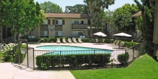 Sage Creek Gallery 6