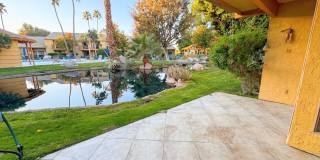 48255 Monroe Street unit: 20 Gallery 1