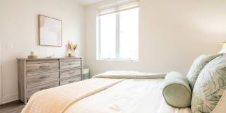 One41 Wellington Gallery 27