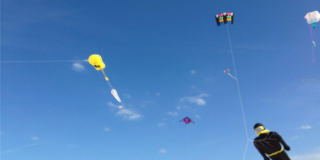 11315 3RD STREET E Gallery 44