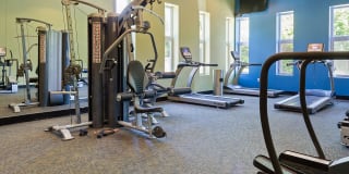 Madison Rockwood Gallery 30