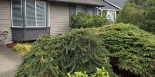 3Bd/2Ba Maple Valley Home 3Bd/2Ba Maple Valley Home Gallery 1