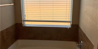 1113 Branchwood Way Gallery 11