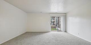 Country Woods Gallery 23