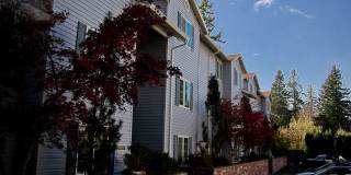 Red Rose Manor Gallery 15