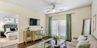 Agora Stone Oak Gallery 6