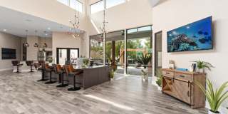 Tides on Park Lane Tides on Park Lane Gallery 15