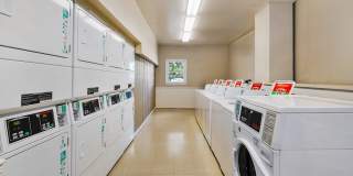 Colonial Square Gallery 10