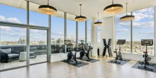 Premiere on Pine Gallery 20