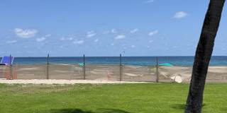 297 Deer Creek Boulevard unit: 1305 Gallery 33