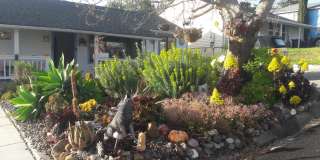 50 La Cruz Avenue Gallery 1